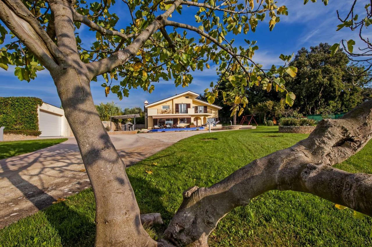 Villa Montericco ロヴィニ エクステリア 写真